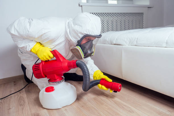 Best Mosquito Control Services  in Ozona, TX