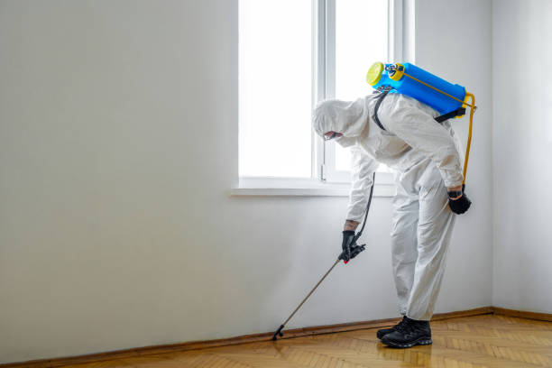 Best Pest Inspection Near Me  in Ozona, TX