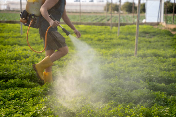 Best Pest Control Treatment  in Ozona, TX