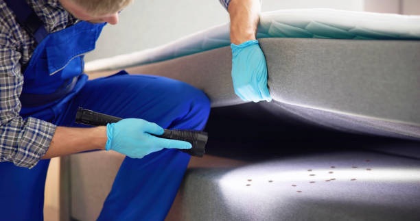 Best Pest Control Near Me  in Ozona, TX
