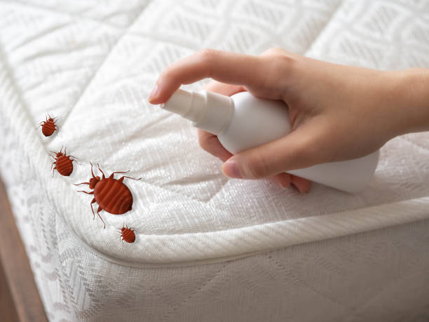 Reliable Ozona, TX Pest Control Solutions
