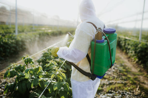 Best Residential Pest Control  in Ozona, TX